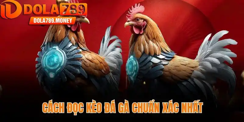 Bật mí cách đọc kèo đá gà chuẩn xác nhất tại Dola789