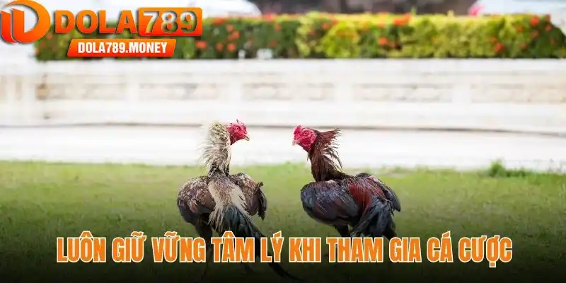 Luôn giữ vững tâm lý khi tham gia cá cược