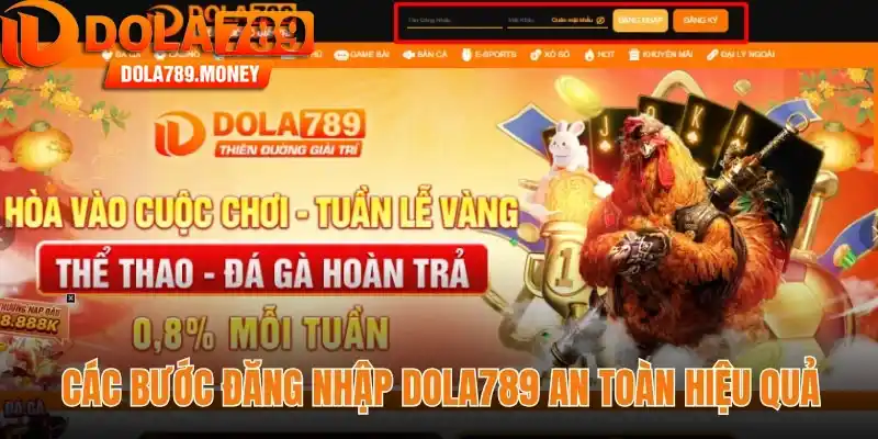 Các bước đăng nhập Dola789 an toàn hiệu quả