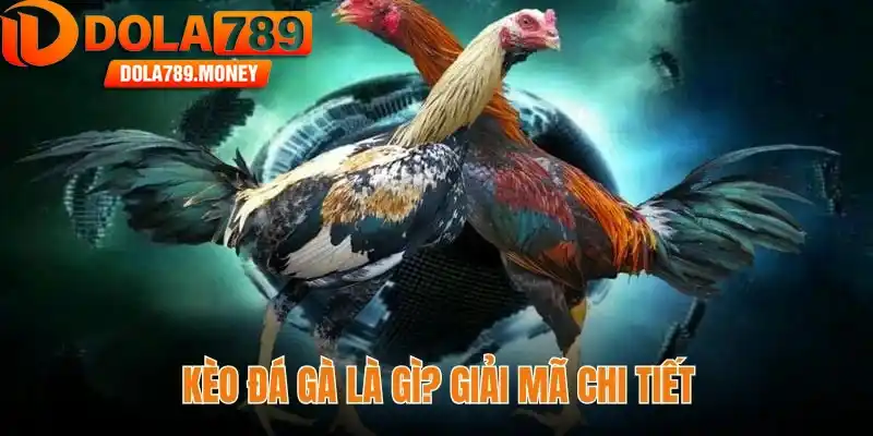 Kèo đá gà là gì? Giải mã toàn tập cho kê thủ chi tiết nhất