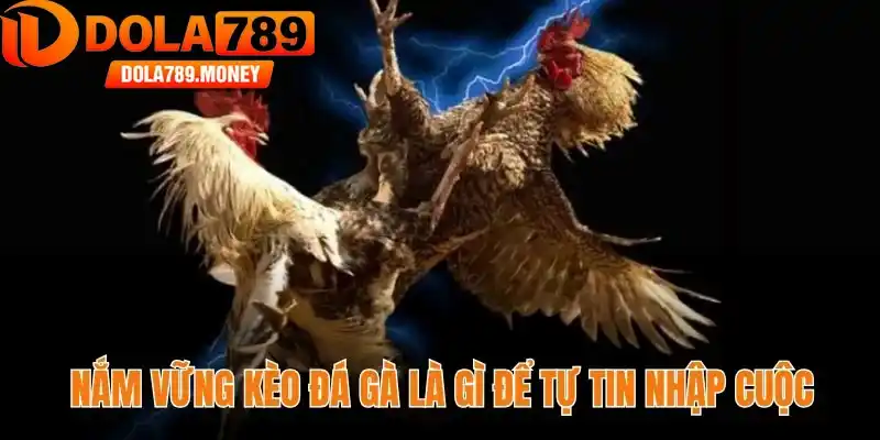 Nắm vững kèo đá gà là gì để tự tin nhập cuộc