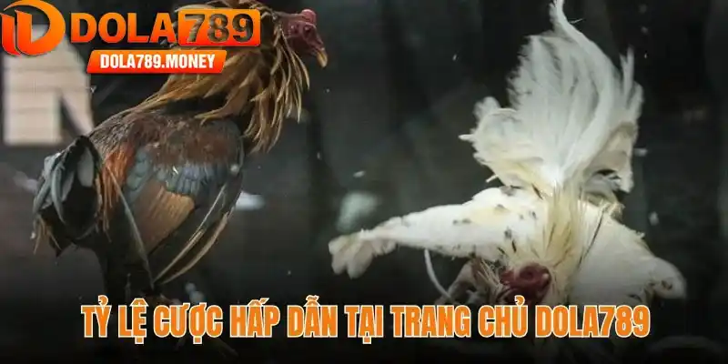 Tỷ lệ cược hấp dẫn tại trang chủ Dola789