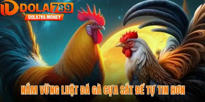 Nắm vững luật đá gà cựa sắt để tự tin hơn