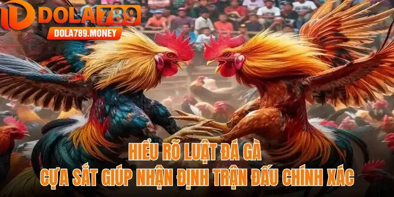Hiểu rõ luật đá gà cựa sắt giúp nhận định trận đấu chính xác