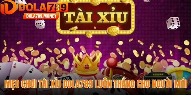 Mẹo chơi tài xỉu Dola789 luôn thắng cho người mới