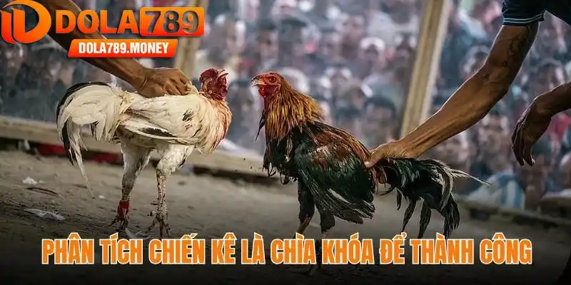 Phân tích chiến kê là chìa khóa để thành công