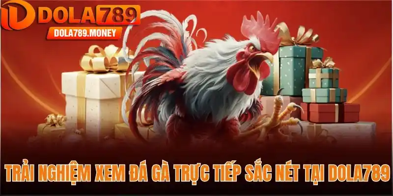 Trải nghiệm xem đá gà trực tiếp sắc nét tại Dola789