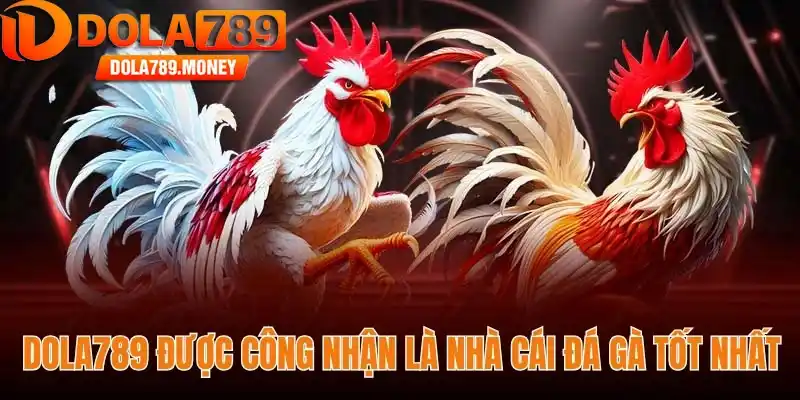 Dola789 được công nhận là nhà cái đá gà tốt nhất