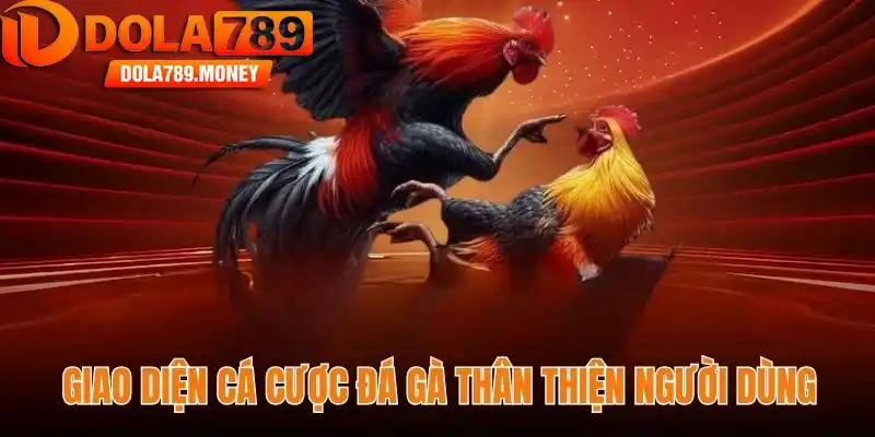 Giao diện cá cược đá gà thân thiện người dùng