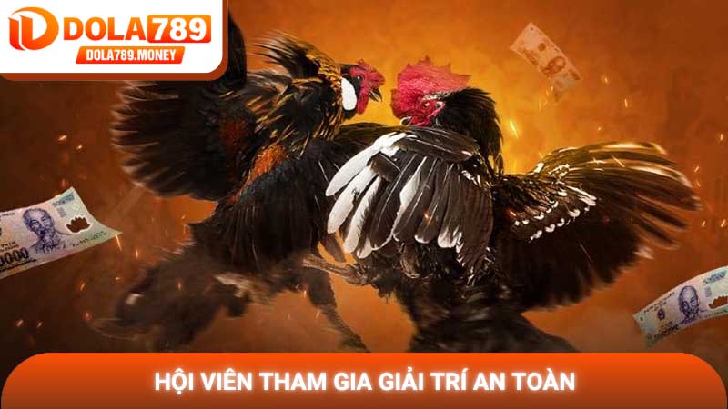Hội viên tham gia giải trí an toàn