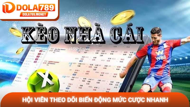 Hội viên theo dõi biến động mức cược nhanh