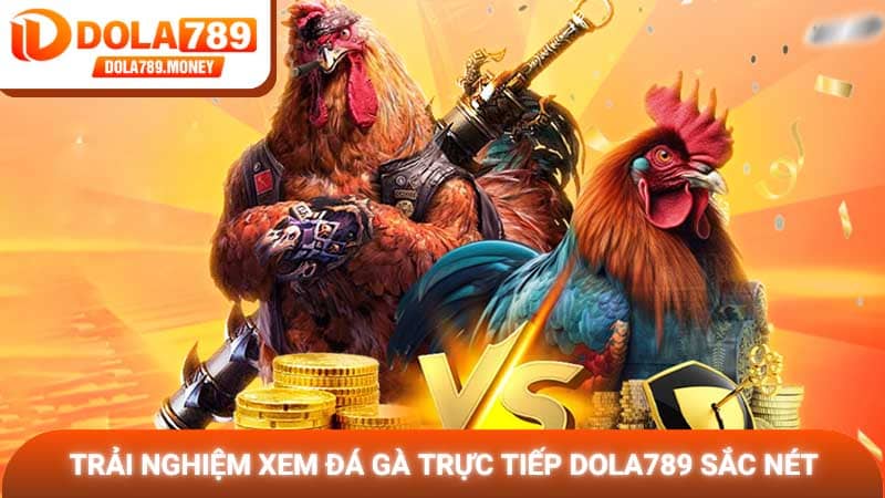 Trải nghiệm xem đá gà trực tiếp Dola789 sắc nét