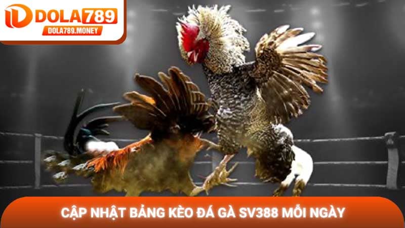 Cập nhật bảng kèo Đá gà SV388 mỗi ngày