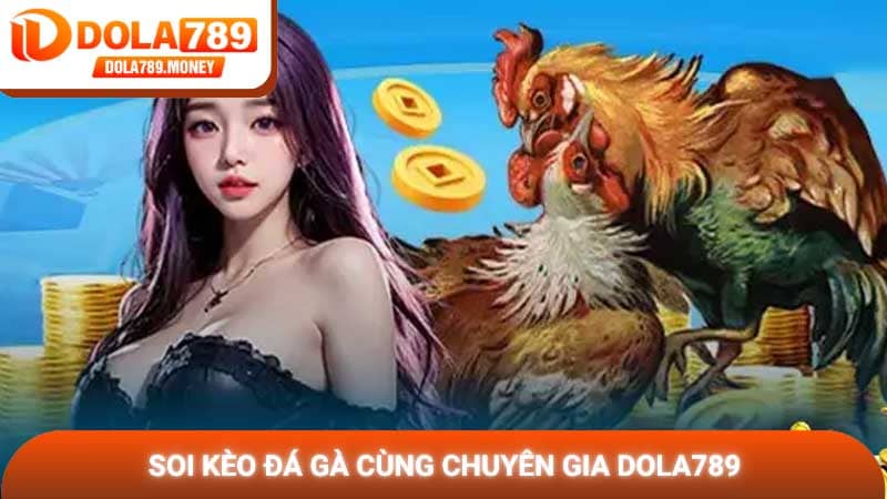 Soi kèo đá gà cùng chuyên gia Dola789