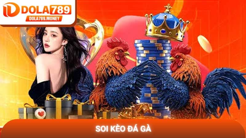 Soi kèo đá gà chuyên nghiệp tại Dola789 cập nhật mới 2026