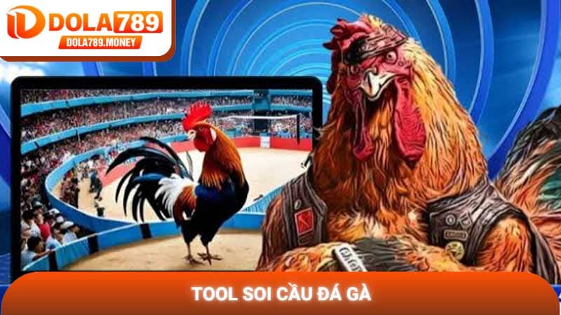 Tool soi cầu đá gà hỗ trợ dự đoán chiến kê chính xác nhất